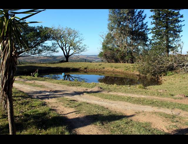 231HA FARM FOR SALE IN EAST LONDON RURAL